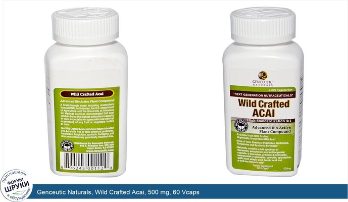 Genceutic Naturals, Wild Crafted Acai, 500 mg, 60 Vcaps