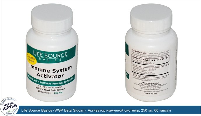 Life Source Basics (WGP Beta Glucan), Активатор иммунной системы, 250 мг, 60 капсул