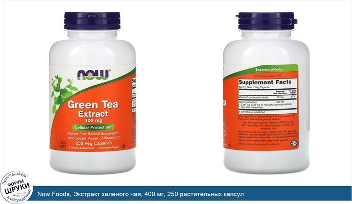 Now Foods, Экстракт зеленого чая, 400 мг, 250 растительных капсул