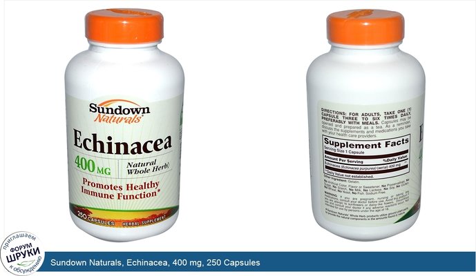 Sundown Naturals, Echinacea, 400 mg, 250 Capsules
