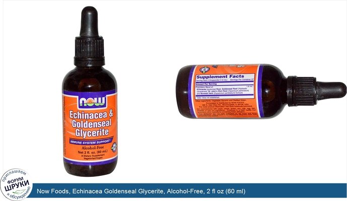 Now Foods, Echinacea Goldenseal Glycerite, Alcohol-Free, 2 fl oz (60 ml)
