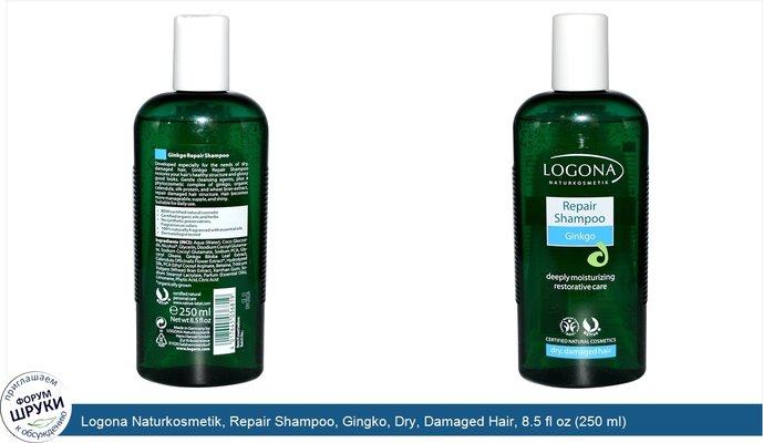 Logona Naturkosmetik, Repair Shampoo, Gingko, Dry, Damaged Hair, 8.5 fl oz (250 ml)