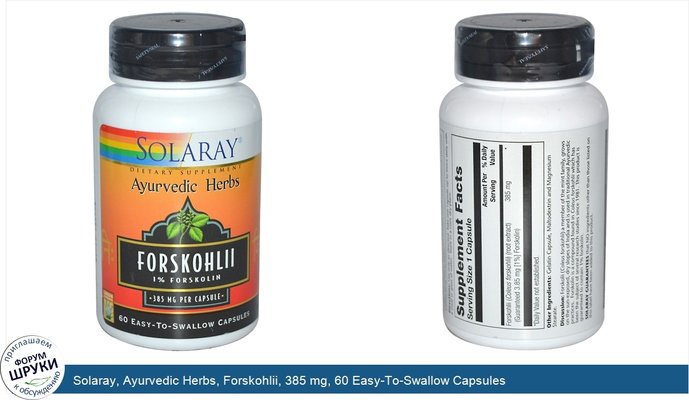 Solaray, Ayurvedic Herbs, Forskohlii, 385 mg, 60 Easy-To-Swallow Capsules
