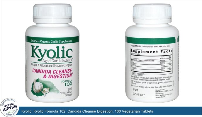 Kyolic, Kyolic Formula 102, Candida Cleanse Digestion, 100 Vegetarian Tablets