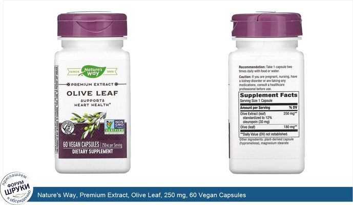 Nature\'s Way, Premium Extract, Olive Leaf, 250 mg, 60 Vegan Capsules