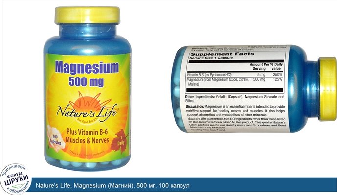 Nature\'s Life, Magnesium (Магний), 500 мг, 100 капсул