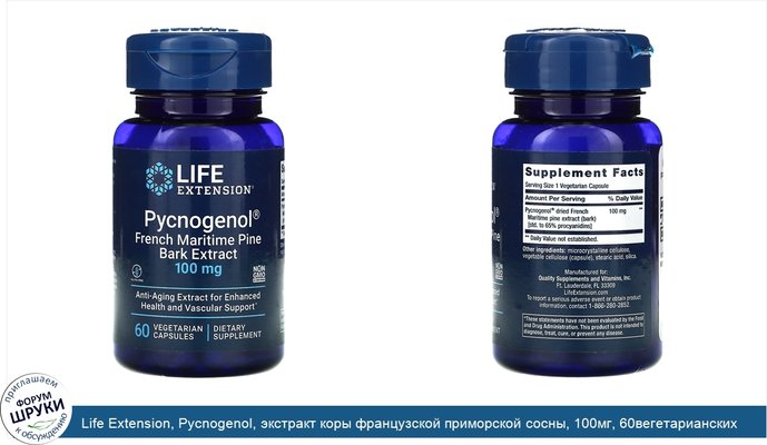 Life Extension, Pycnogenol, экстракт коры французской приморской сосны, 100мг, 60вегетарианских капсул