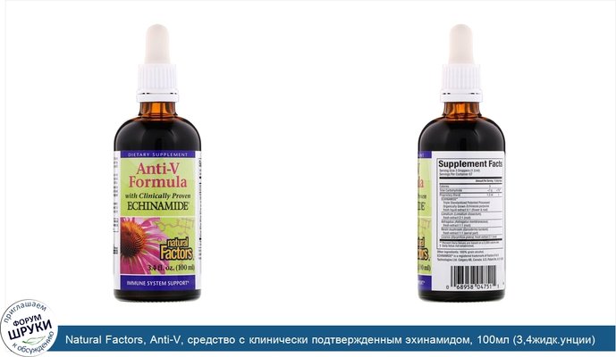 Natural Factors, Anti-V, средство с клинически подтвержденным эхинамидом, 100мл (3,4жидк.унции)