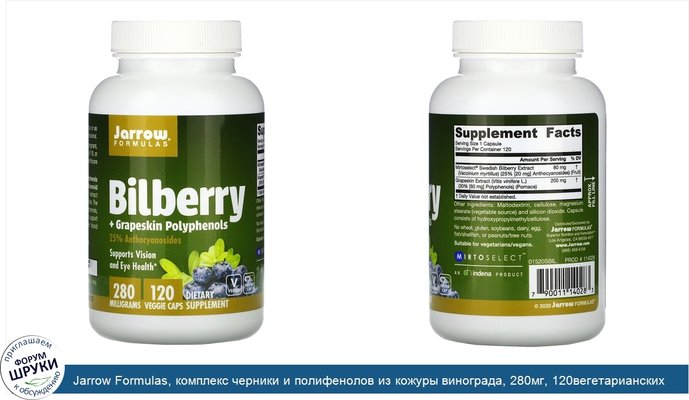 Jarrow Formulas, комплекс черники и полифенолов из кожуры винограда, 280мг, 120вегетарианских капсул