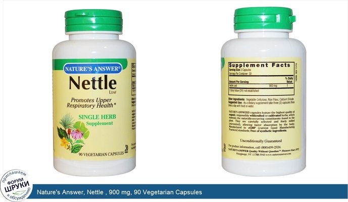 Nature\'s Answer, Nettle , 900 mg, 90 Vegetarian Capsules