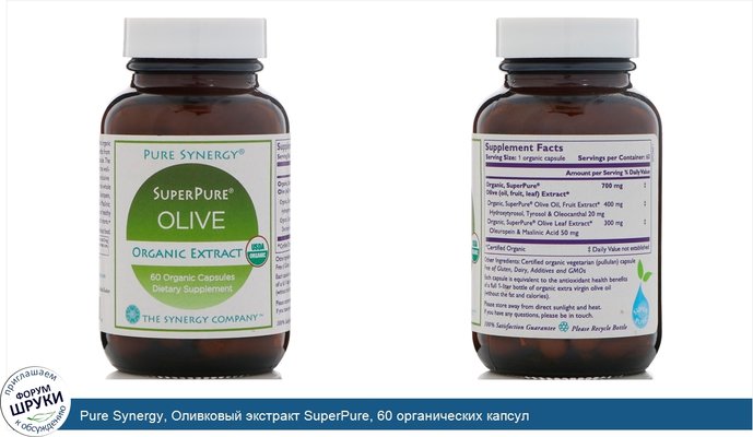 Pure Synergy, Оливковый экстракт SuperPure, 60 органических капсул