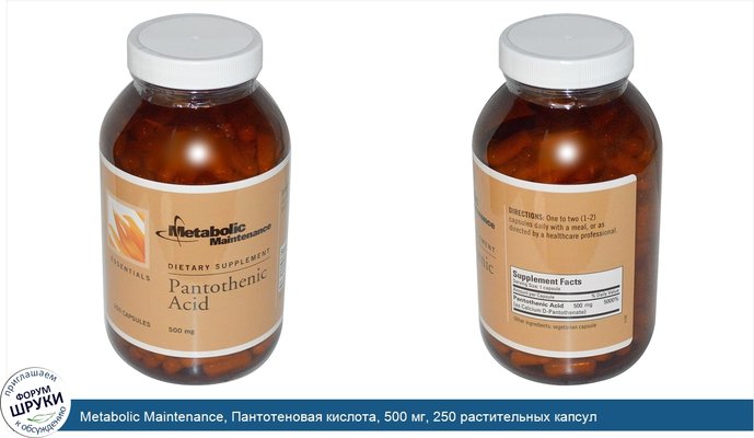 Metabolic Maintenance, Пантотеновая кислота, 500 мг, 250 растительных капсул