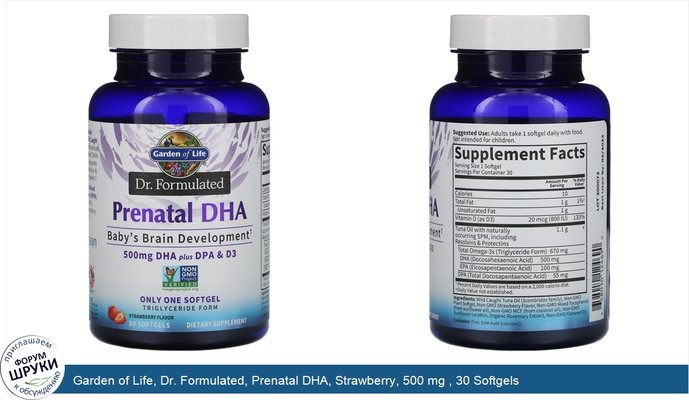 Garden of Life, Dr. Formulated, Prenatal DHA, Strawberry, 500 mg , 30 Softgels