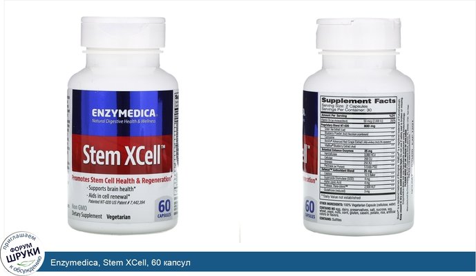 Enzymedica, Stem XCell, 60 капсул