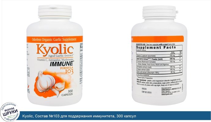Kyolic, Состав №103 для поддержания иммунитета, 300 капсул