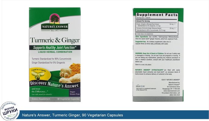 Nature\'s Answer, Turmeric Ginger, 90 Vegetarian Capsules