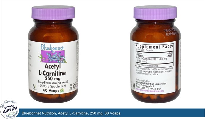 Bluebonnet Nutrition, Acetyl L-Carnitine, 250 mg, 60 Vcaps