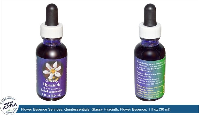 Flower Essence Services, Quintessentials, Glassy Hyacinth, Flower Essence, 1 fl oz (30 ml)