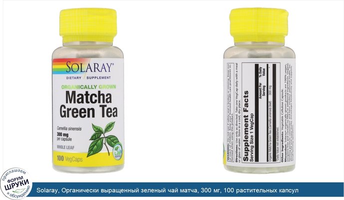 Solaray, Органически выращенный зеленый чай матча, 300 мг, 100 растительных капсул