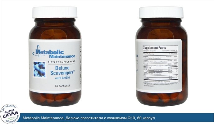 Metabolic Maintenance, Делюкс-поглотители с коэнзимом Q10, 60 капсул