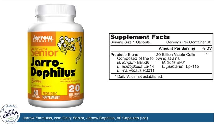 Jarrow Formulas, Non-Dairy Senior, Jarrow-Dophilus, 60 Capsules (Ice)