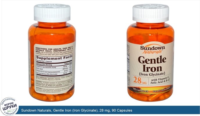 Sundown Naturals, Gentle Iron (Iron Glycinate), 28 mg, 90 Capsules