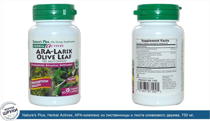 Nature\'s Plus, Herbal Actives, АРА-комплекс из лиственницы и листа оливкового дерева, 750 мг, 60 вегетарианских капсул