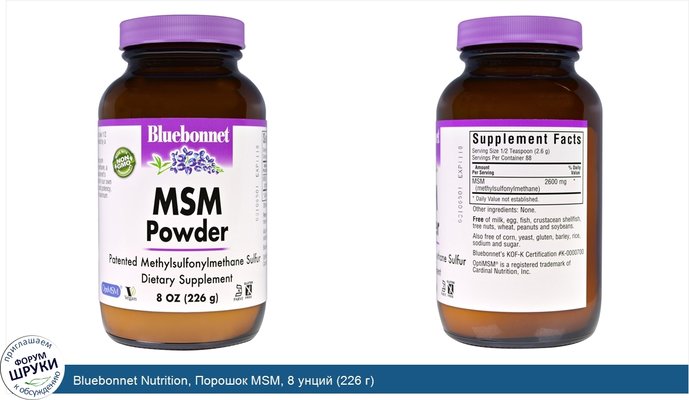 Bluebonnet Nutrition, Порошок MSM, 8 унций (226 г)