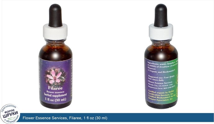 Flower Essence Services, Filaree, 1 fl oz (30 ml)