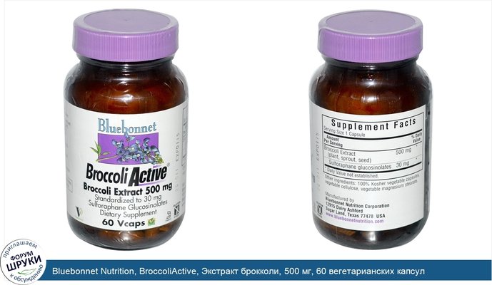 Bluebonnet Nutrition, BroccoliActive, Экстракт брокколи, 500 мг, 60 вегетарианских капсул