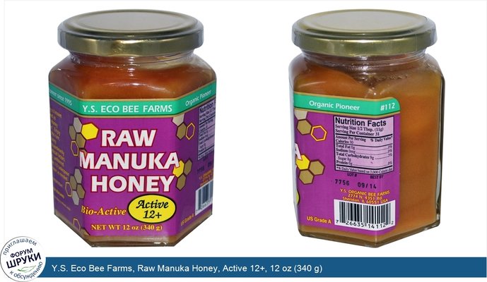 Y.S. Eco Bee Farms, Raw Manuka Honey, Active 12+, 12 oz (340 g)