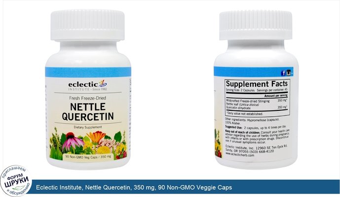 Eclectic Institute, Nettle Quercetin, 350 mg, 90 Non-GMO Veggie Caps