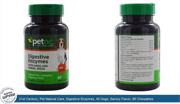 21st Century, Pet Natural Care, Digestive Enzymes, All Dogs, Savory Flavor, 60 Chewables