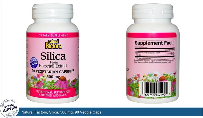 Natural Factors, Silica, 500 mg, 90 Veggie Caps