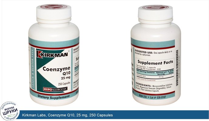 Kirkman Labs, Coenzyme Q10, 25 mg, 250 Capsules