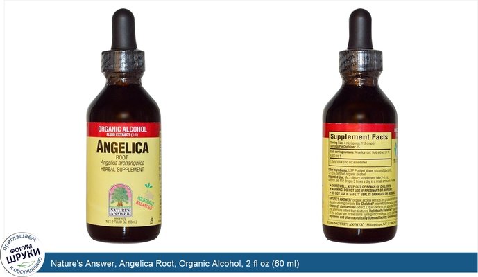 Nature\'s Answer, Angelica Root, Organic Alcohol, 2 fl oz (60 ml)