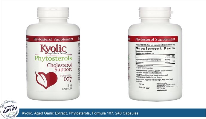 Kyolic, Aged Garlic Extract, Phytosterols, Formula 107, 240 Capsules
