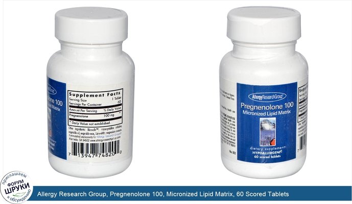 Allergy Research Group, Pregnenolone 100, Micronized Lipid Matrix, 60 Scored Tablets