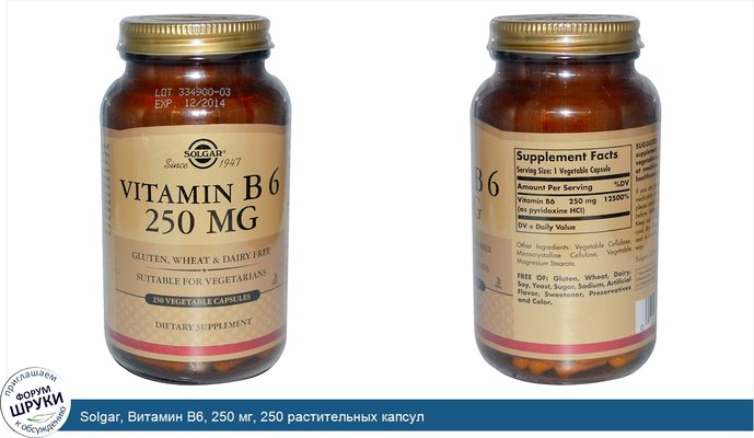 Solgar, Витамин B6, 250 мг, 250 растительных капсул