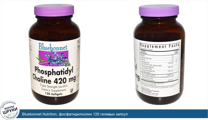 Bluebonnet Nutrition, фосфатидилхолин 120 гелевых капсул