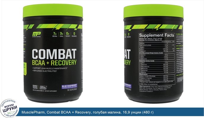 MusclePharm, Combat BCAA + Recovery, голубая малина, 16,9 унции (480 г)