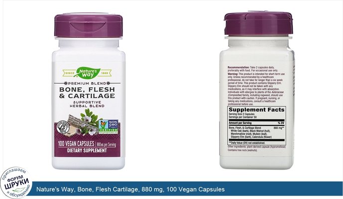 Nature\'s Way, Bone, Flesh Cartilage, 880 mg, 100 Vegan Capsules