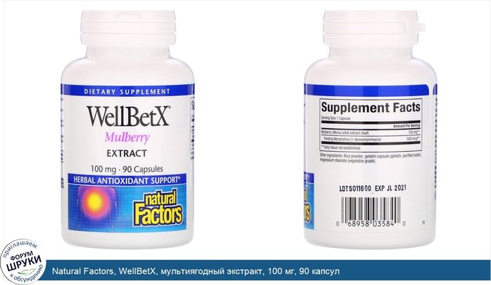 Natural Factors, WellBetX, мультиягодный экстракт, 100 мг, 90 капсул