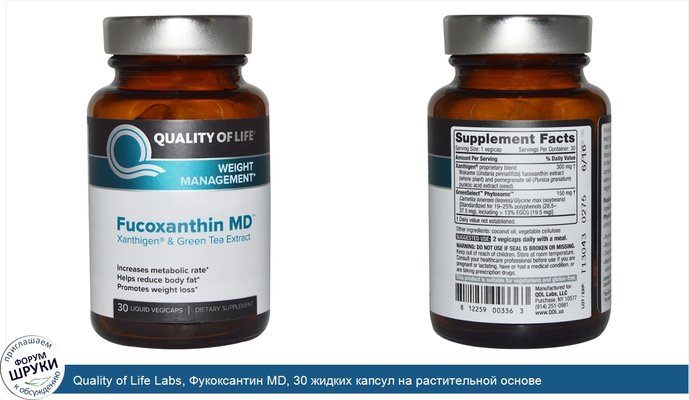 Quality of Life Labs, Фукоксантин MD, 30 жидких капсул на растительной основе