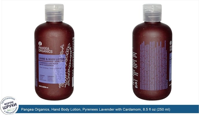 Pangea Organics, Hand Body Lotion, Pyrenees Lavender with Cardamom, 8.5 fl oz (250 ml)