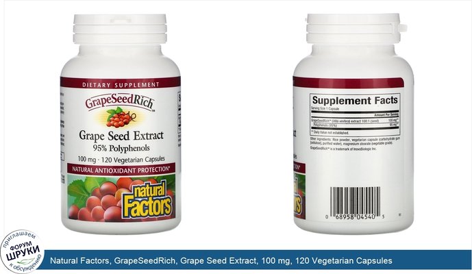 Natural Factors, GrapeSeedRich, Grape Seed Extract, 100 mg, 120 Vegetarian Capsules