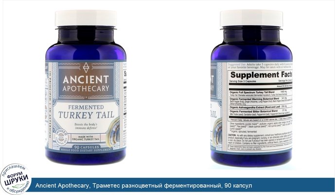 Ancient Apothecary, Траметес разноцветный ферментированный, 90 капсул