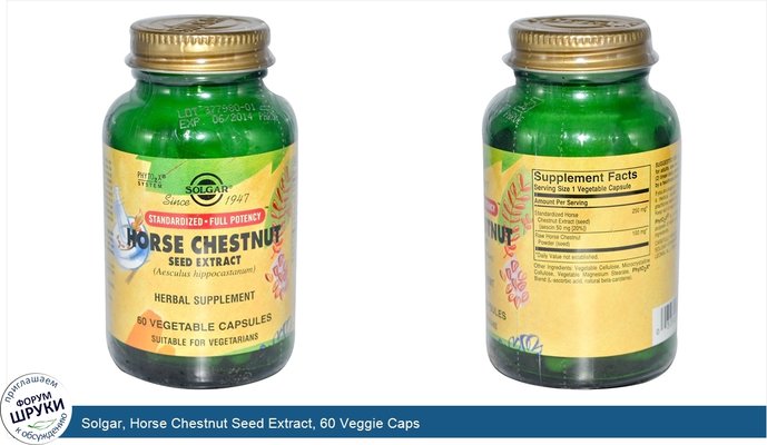 Solgar, Horse Chestnut Seed Extract, 60 Veggie Caps