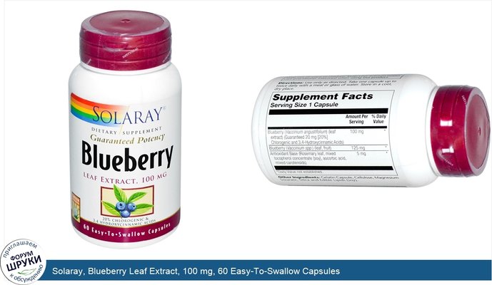 Solaray, Blueberry Leaf Extract, 100 mg, 60 Easy-To-Swallow Capsules