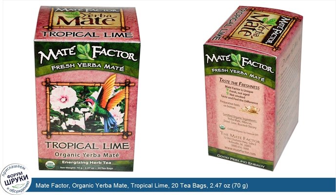 Mate Factor, Organic Yerba Mate, Tropical Lime, 20 Tea Bags, 2.47 oz (70 g)